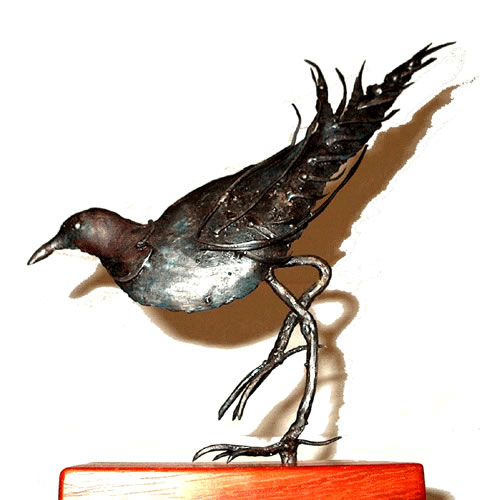 Uccello vagante