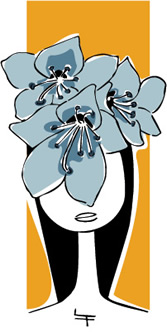 Fiori